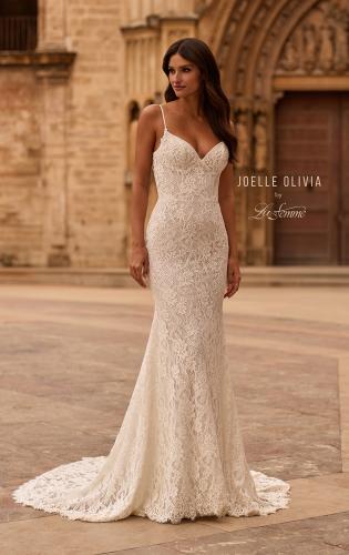 Picture of: Lace Fit and Flare Wedding Dress with Illusion Back in IIRI, Style: J2332, Back Picture