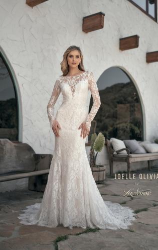 Picture of: Sheer Lace Long Sleeve Gown with Open Back in WIIII, Style: J2092, Main Picture