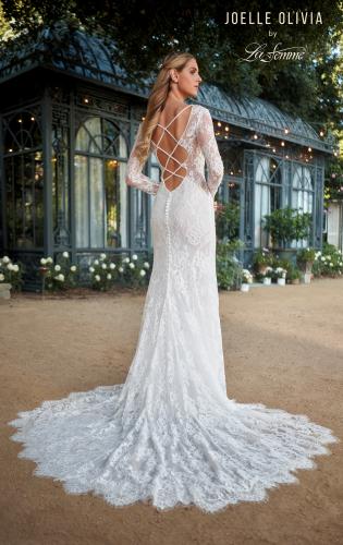 Picture of: Long Sleeve Lace Wedding Gown with Criss Cross Straps in WIIII, Style: J2095, Back Picture