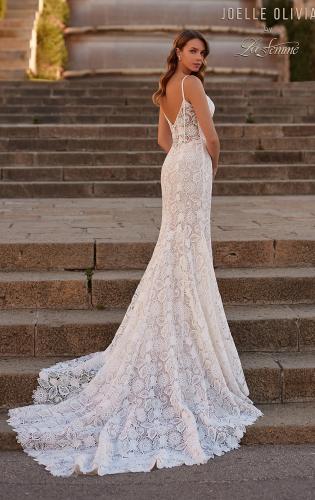 Picture of: Wedding Dress with Gorgeous Lace Pattern and V Neckline in WIINI, Style: J2227, Back Picture