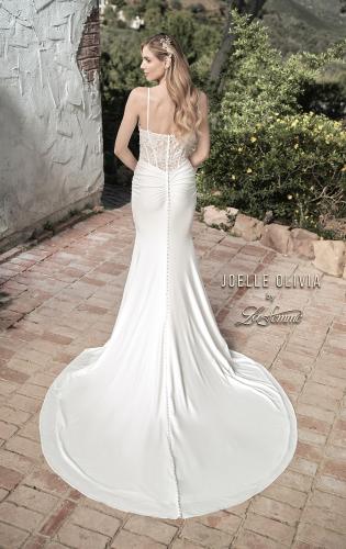 Picture of: Criss Cross Bodice Gown with Illusion Lace Back in ivory, Style: J2047, Back Picture