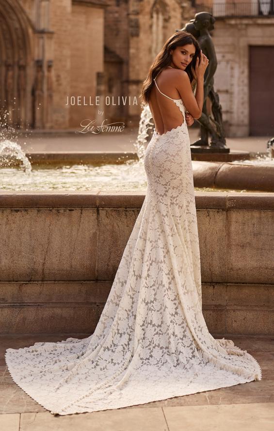 Picture of: Allover Lace Fit and Flare Wedding Dress with Low Open Back in III, Style: J2317, Main Picture