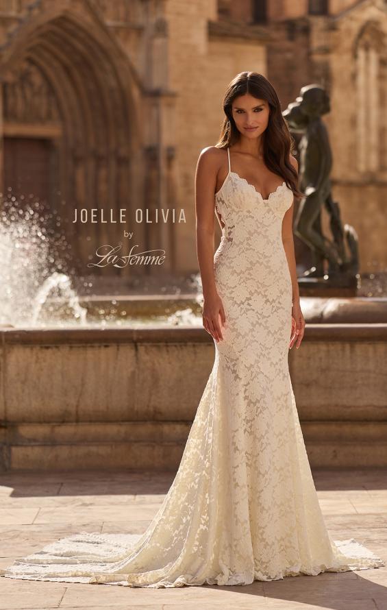 Picture of: Allover Lace Fit and Flare Wedding Dress with Low Open Back in III, Style: J2317, Back Picture