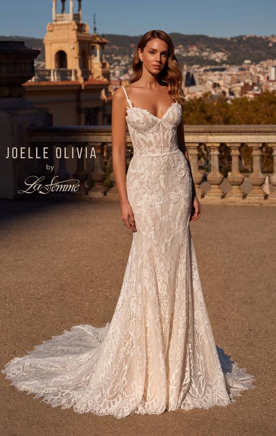Picture of: Gorgeous Lace Wedding Gown with Scallop Lace Edges and Illusion Bodice in IIINI, Style: J2224, Back Picture