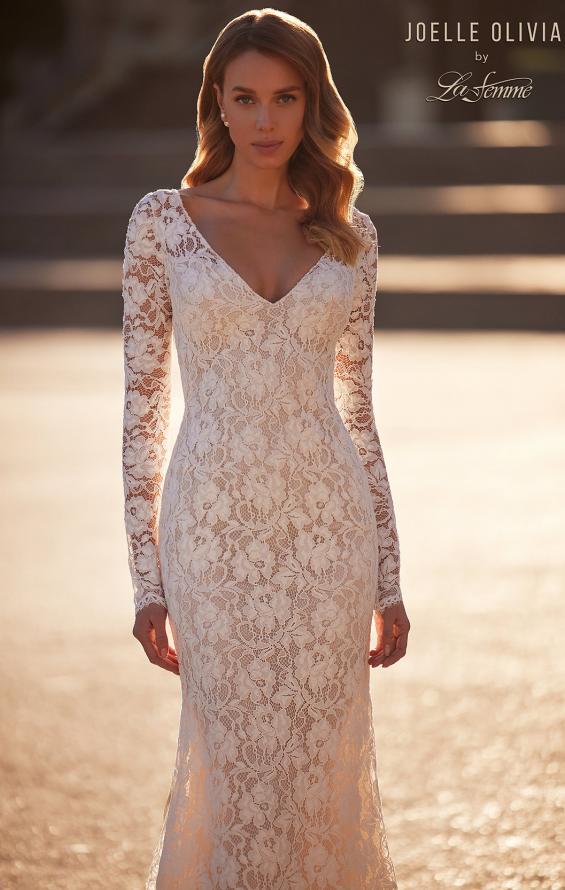 Picture of: Long Sleeve Wedding Dress with V Neckline and Illusion Back Detail in IIINI, Style: J2198, Detail Picture 1