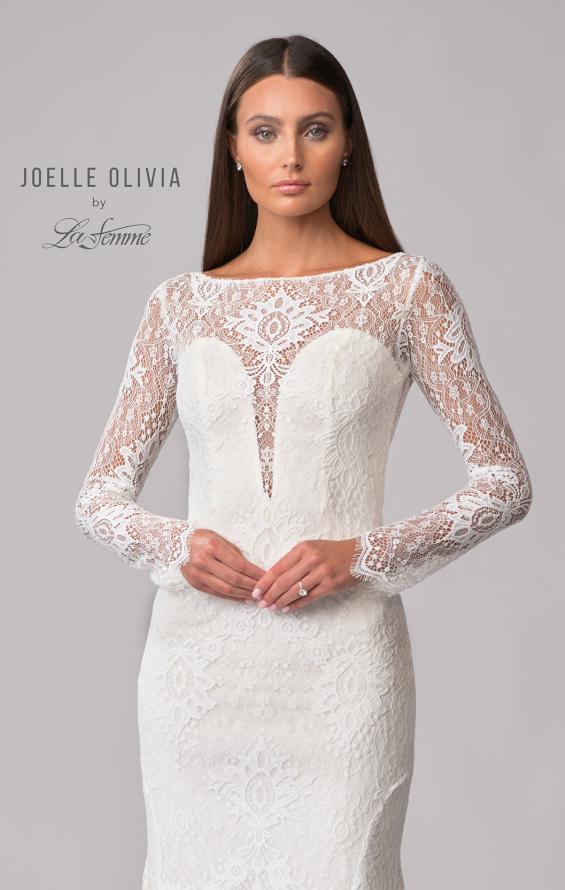 Picture of: Lovely Lace Gown with Illusion Long Sleeves and Back Detail in ILW, Style: J2097, Detail Picture 16