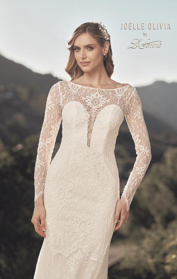 Picture of: Lovely Lace Gown with Illusion Long Sleeves and Back Detail in ILW, Style: J2097, Detail Picture 1