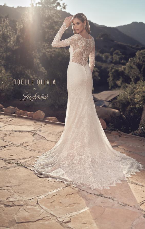 Picture of: Lovely Lace Gown with Illusion Long Sleeves and Back Detail in ILW, Style: J2097, Detail Picture 4