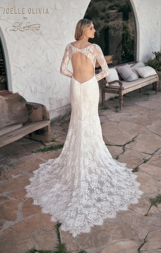 Picture of: Sheer Lace Long Sleeve Gown with Open Back in WIIII, Style: J2092, Back Picture