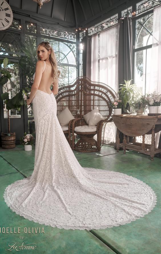 Picture of: Open Back Lace Wedding Dress with Plunge Neckline in WINI, Style: J2096, Back Picture