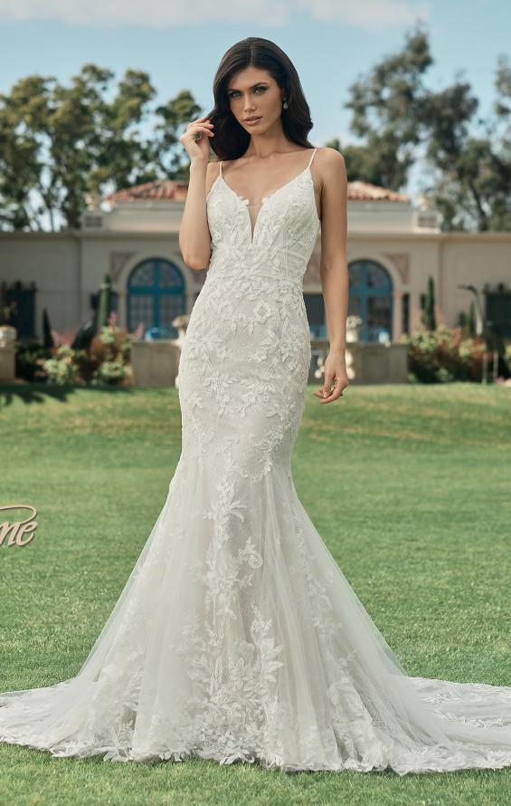 Picture of: Lace Plunge Neck Bridal Dress with Gorgeous Full Train in IINI, Style: B1216, Detail Picture 4, Landscape