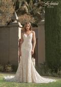 Picture of: Stunning Lace Fitted Gown with Sheer Back in INI, Style: B1052, Main Picture
