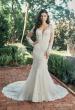 Picture of: Long Sleeve Lace Gown with Beautiful Train and Illusion Back in IIINI, Style: B1248, Main Picture