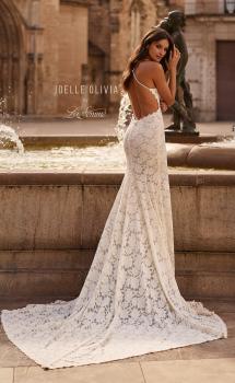 Picture of: Allover Lace Fit and Flare Wedding Dress with Low Open Back in III, Style: J2317, Main Picture