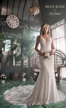 Picture of: Open Back Lace Wedding Dress with Plunge Neckline in WINI, Style: J2096, Main Picture